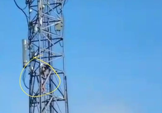 Seorang pria berinisial ADS (34) warga Desa Tanjung Bungai Kecamatan Lebong Tengah melakukan aksi bunuh diri terjun dari tower BTS di Kelurahan Embong Panjang, Selasa (19/11/2024) pagi